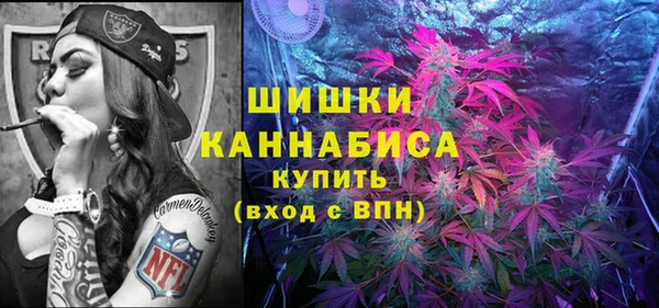 spice Алзамай