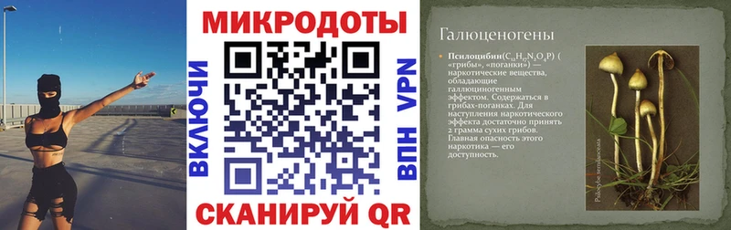Псилоцибиновые грибы Cubensis  Старая Купавна 
