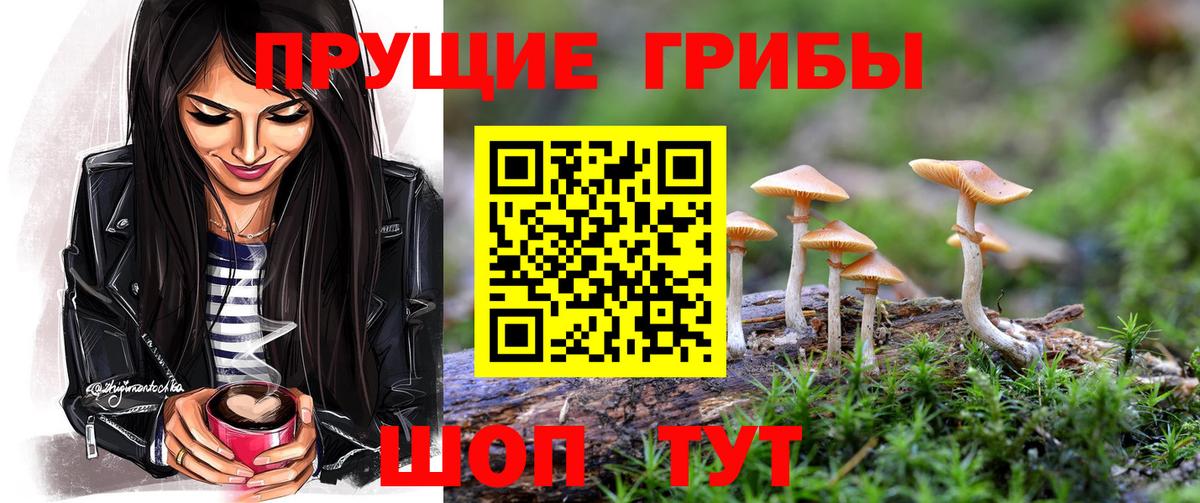 Псилоцибиновые грибы мухоморы  Вход с VPN  Старая Купавна  закладка  Псилоцибиновые грибы мицелий 