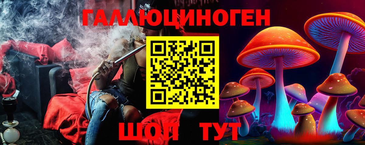 Псилоцибиновые грибы GOLDEN TEACHER Старая Купавна