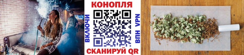 закладки  Старая Купавна  Канабис White Widow 